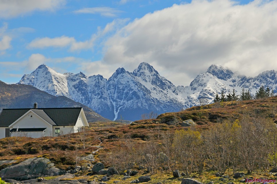 DSC_8764.JPG