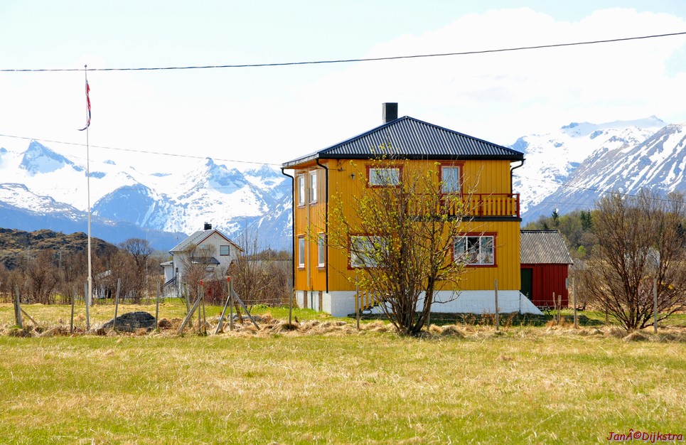 DSC_8773.JPG