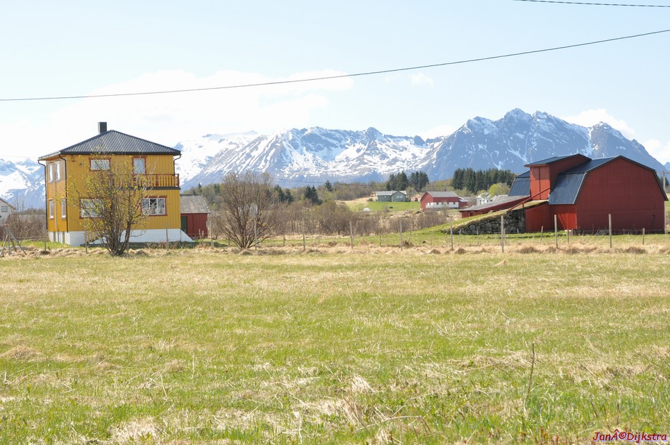 DSC_8774.JPG