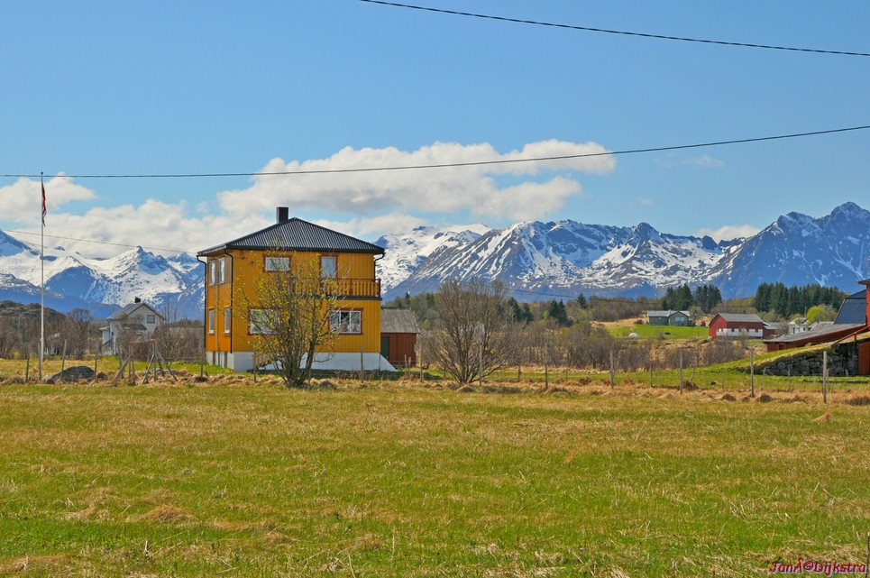 DSC_8775.JPG