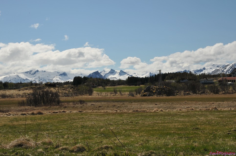 DSC_8778.JPG