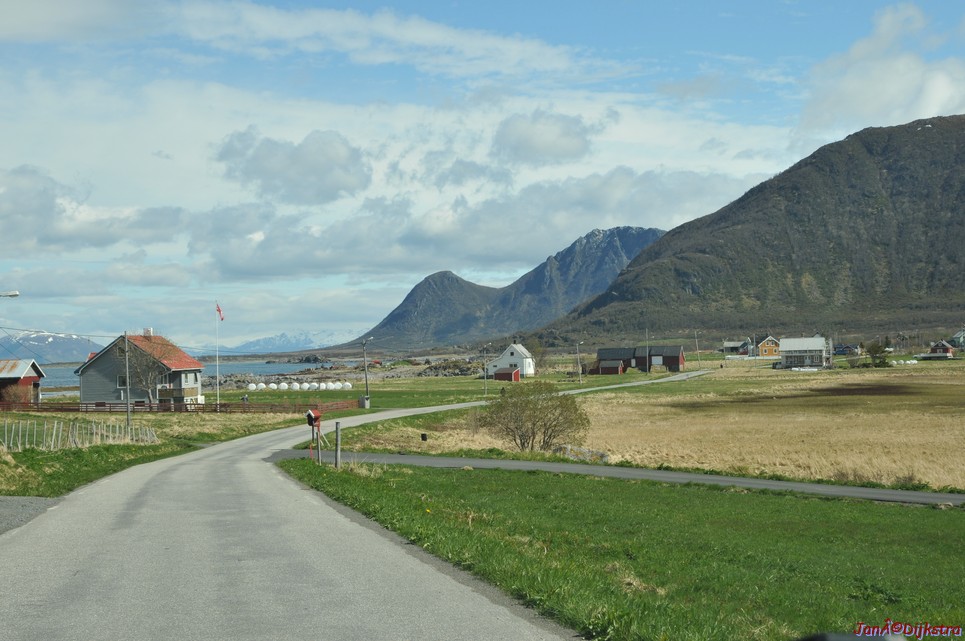 DSC_8780.JPG