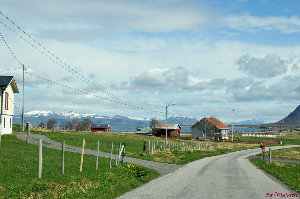 DSC_8781.JPG