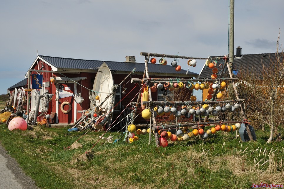 DSC_8785.JPG