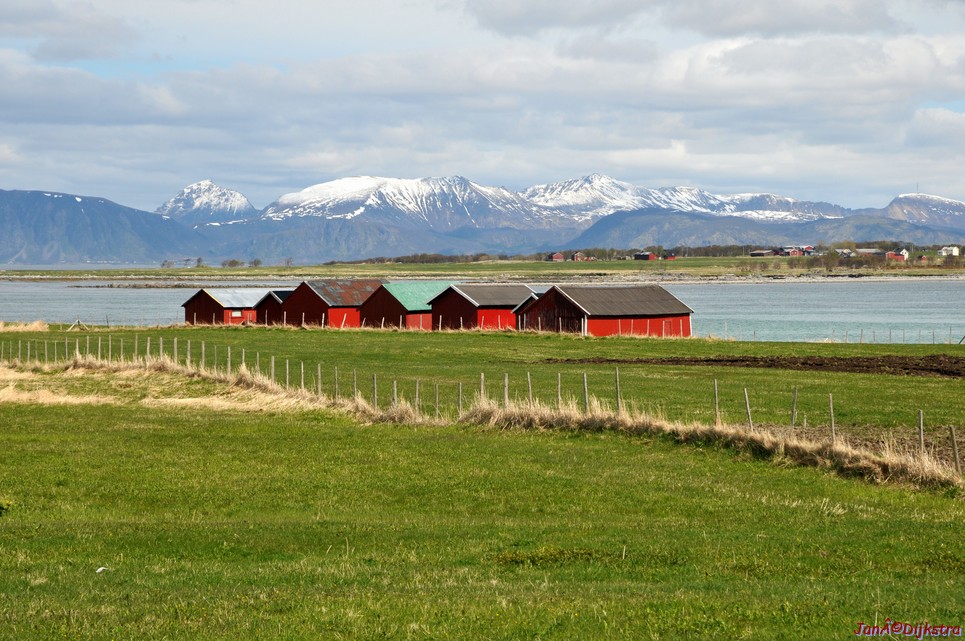 DSC_8786.JPG