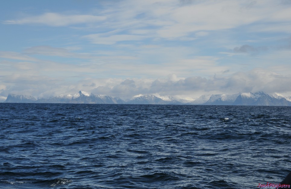 DSC_8879.JPG