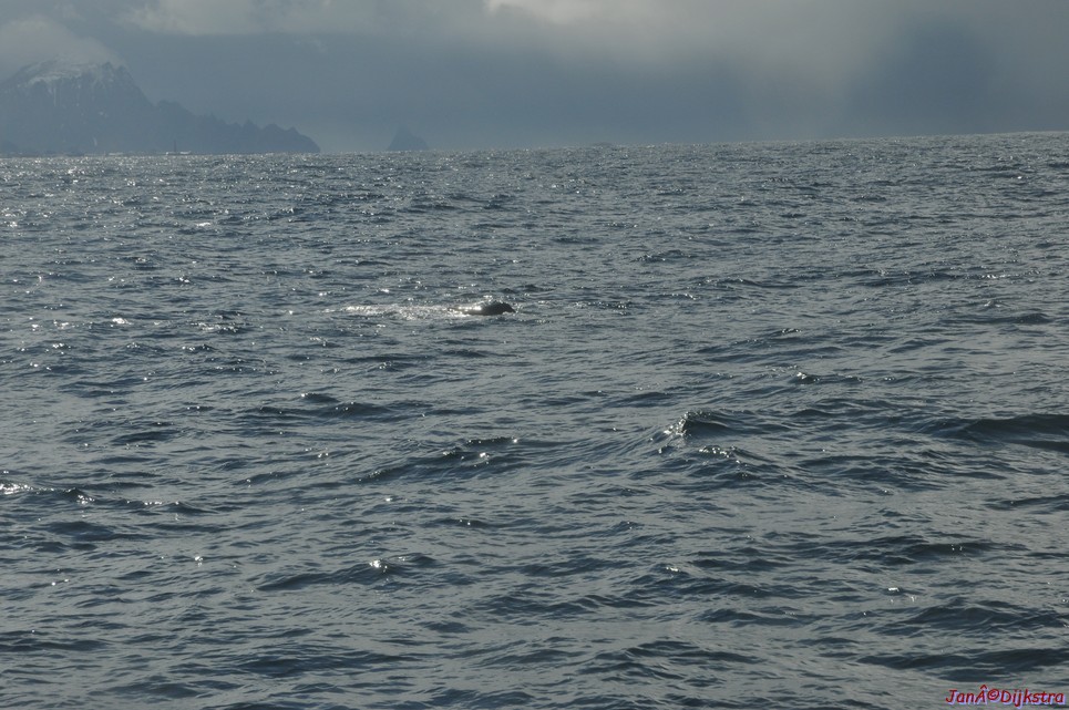 DSC_8882.JPG