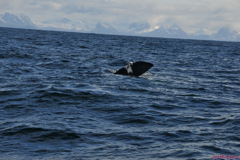 DSC_8900.JPG