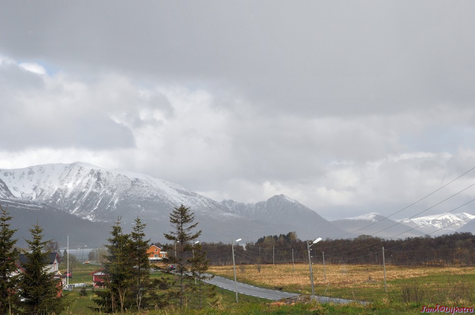 DSC_8910.JPG