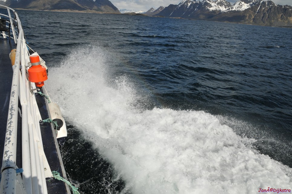 DSC_8942.JPG