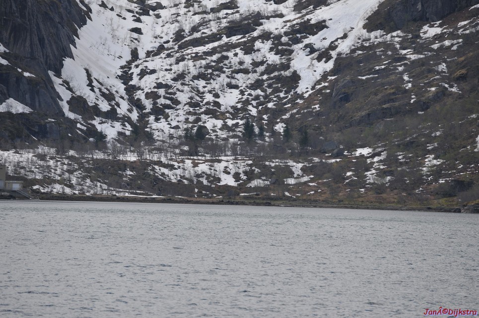 DSC_8957.JPG