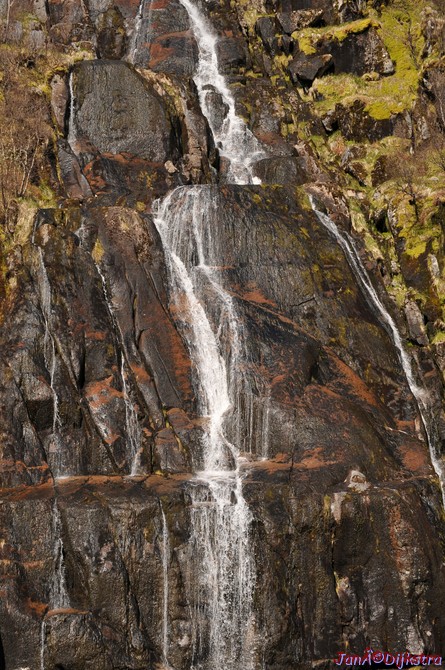 DSC_8960.JPG
