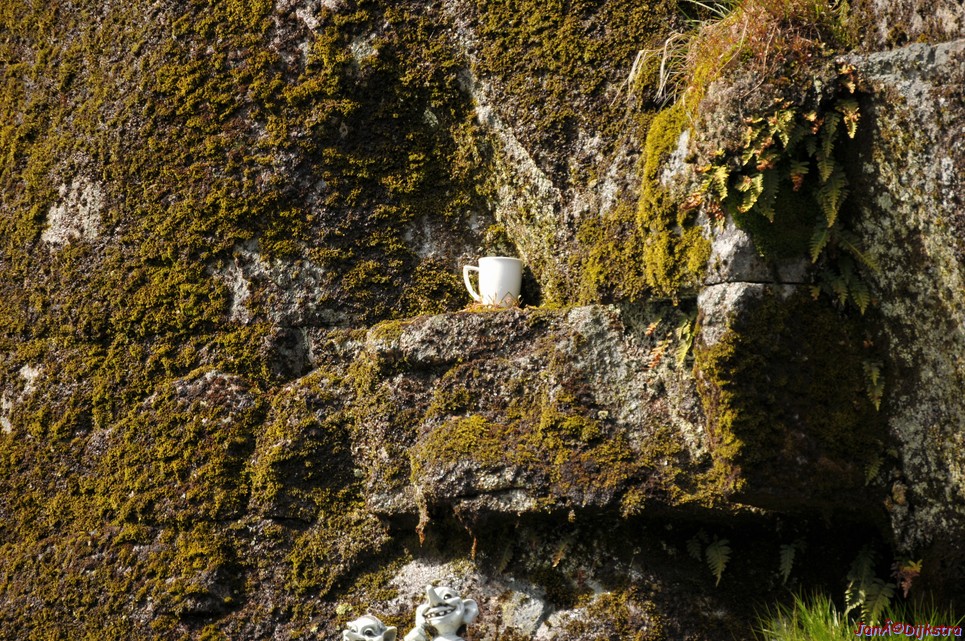 DSC_8963.JPG