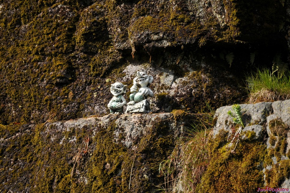 DSC_8964.JPG