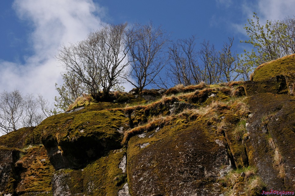 DSC_8967.JPG