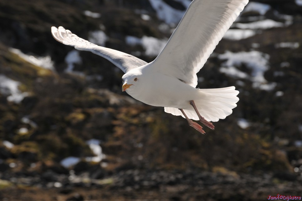 DSC_8999.JPG