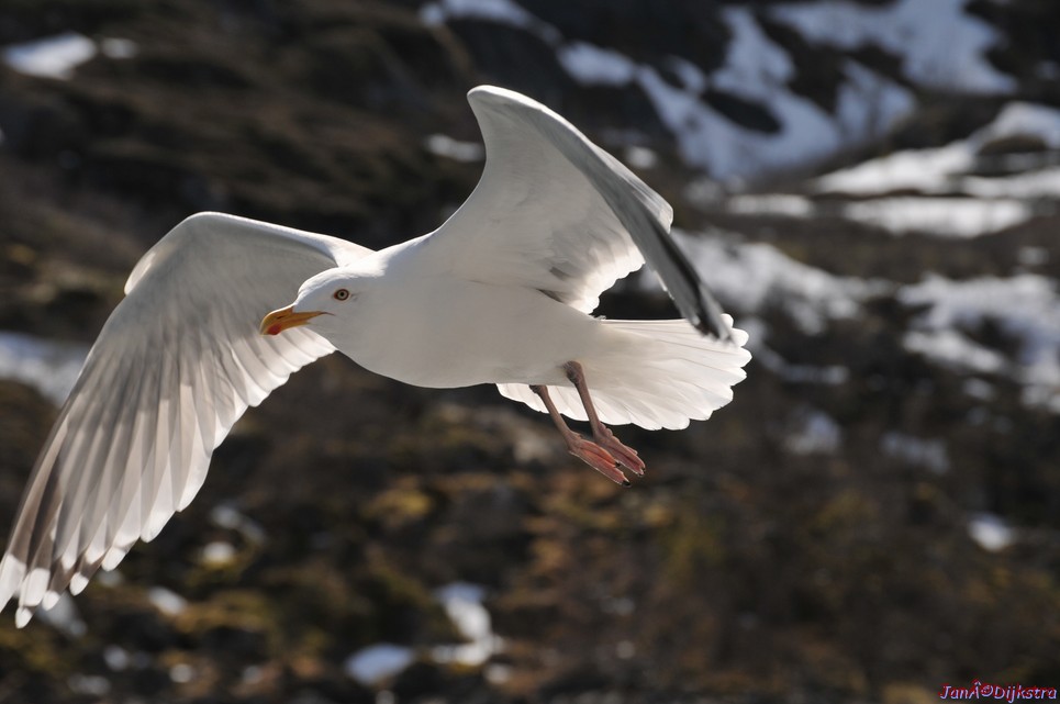 DSC_9000.JPG