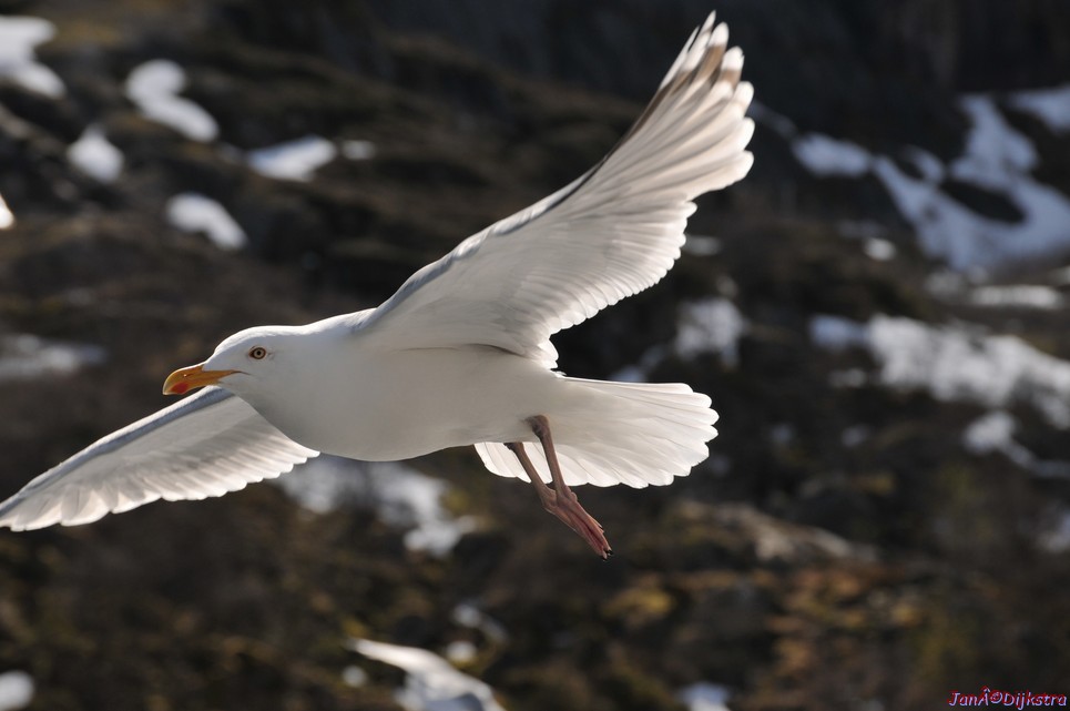 DSC_9001.JPG