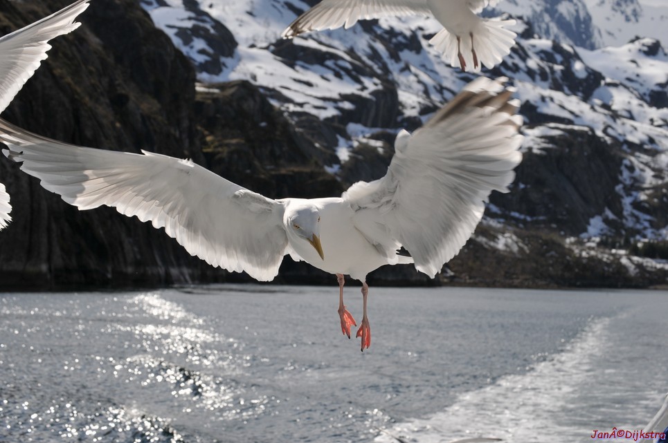 DSC_9027.JPG