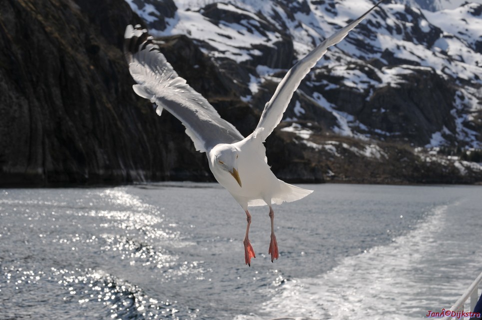 DSC_9028.JPG