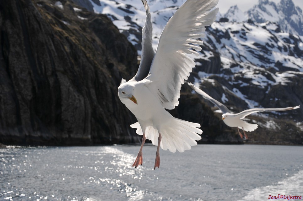 DSC_9030.JPG