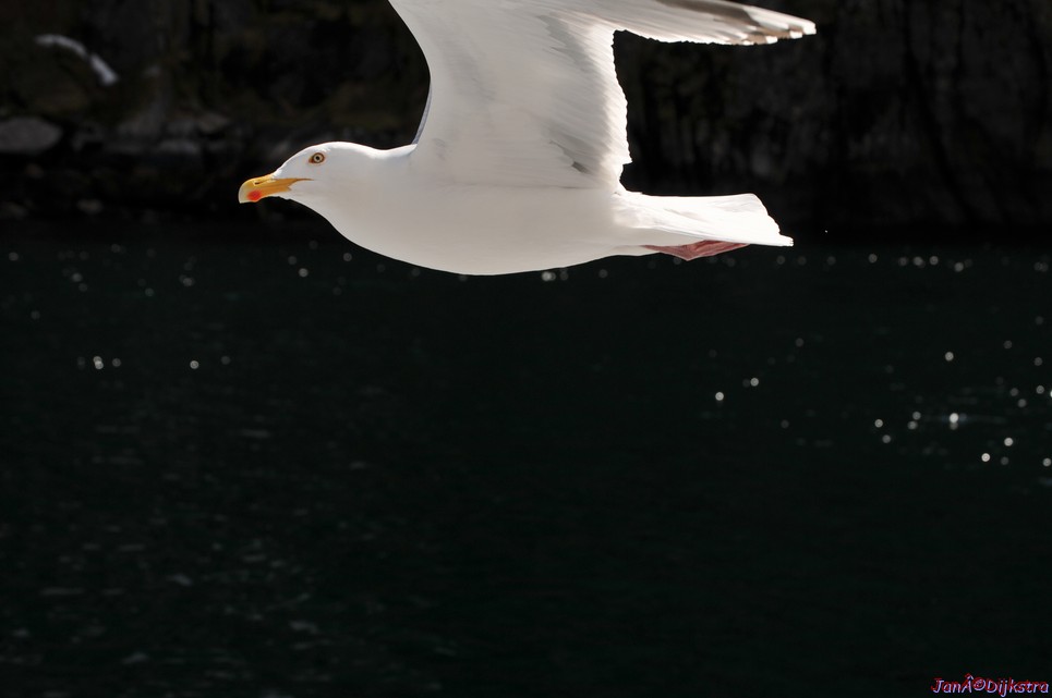 DSC_9031.JPG