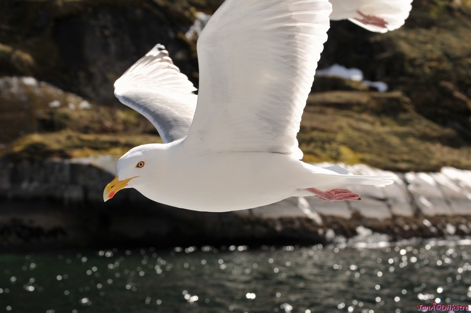 DSC_9038.JPG