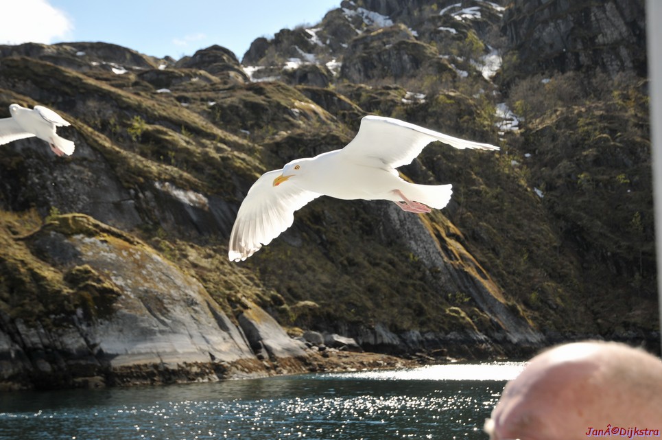 DSC_9039.JPG