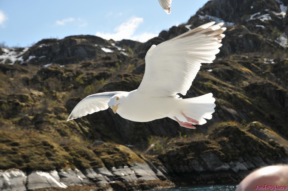 DSC_9045.JPG