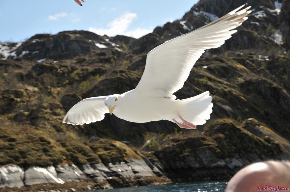 DSC_9046.JPG