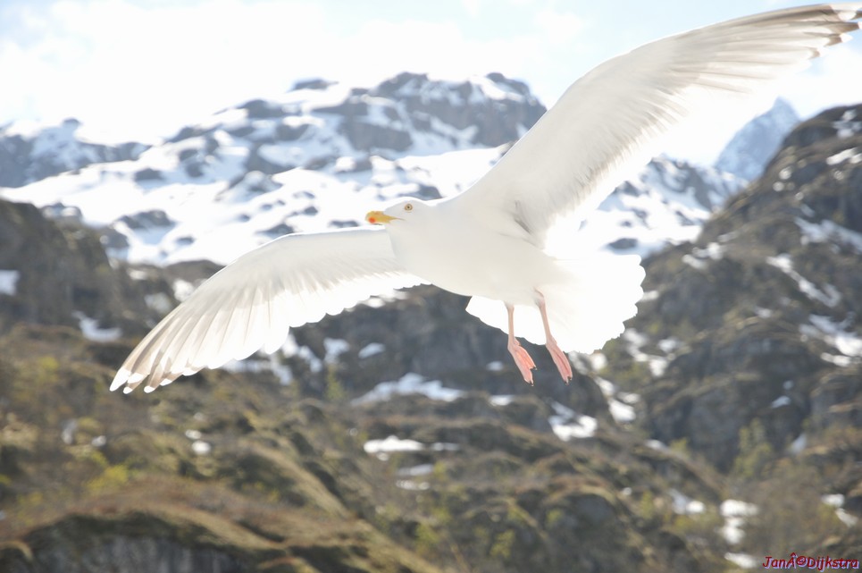 DSC_9047.JPG