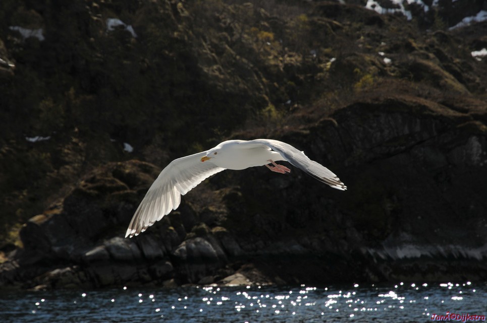 DSC_9048.JPG
