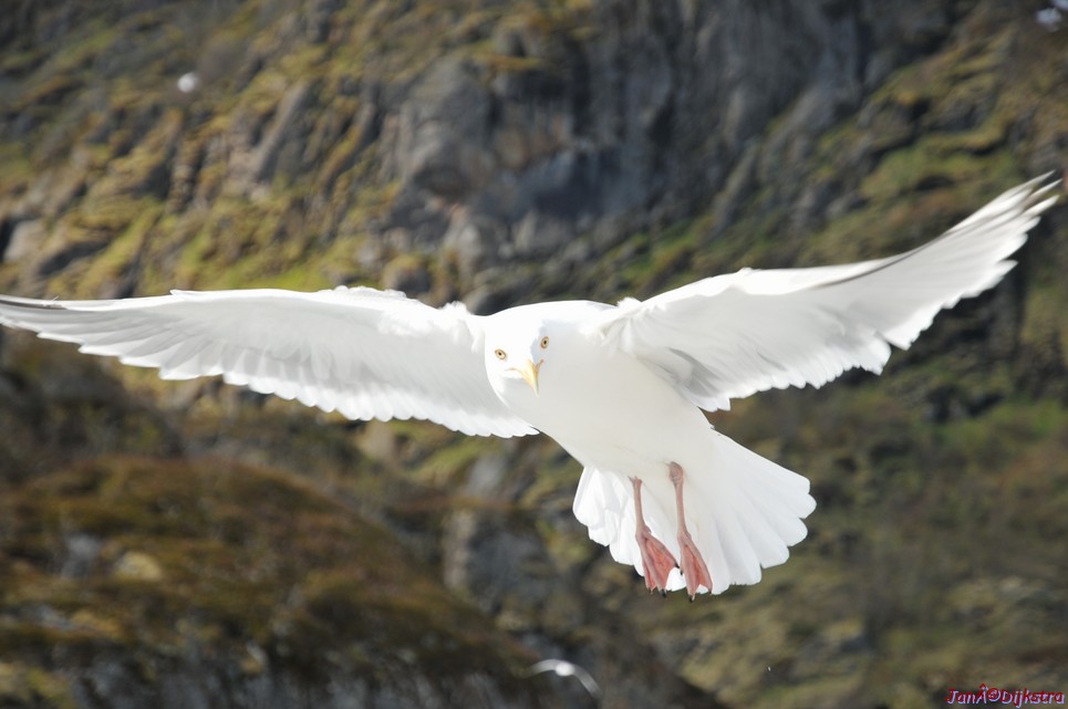 DSC_9050.JPG