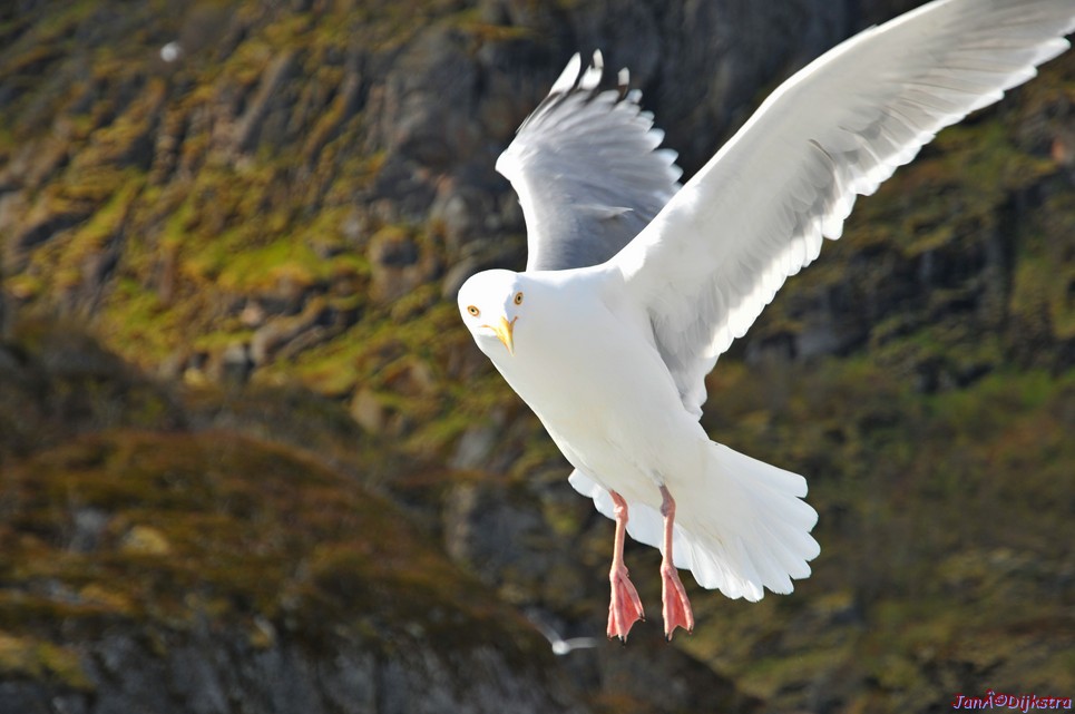 DSC_9051.JPG