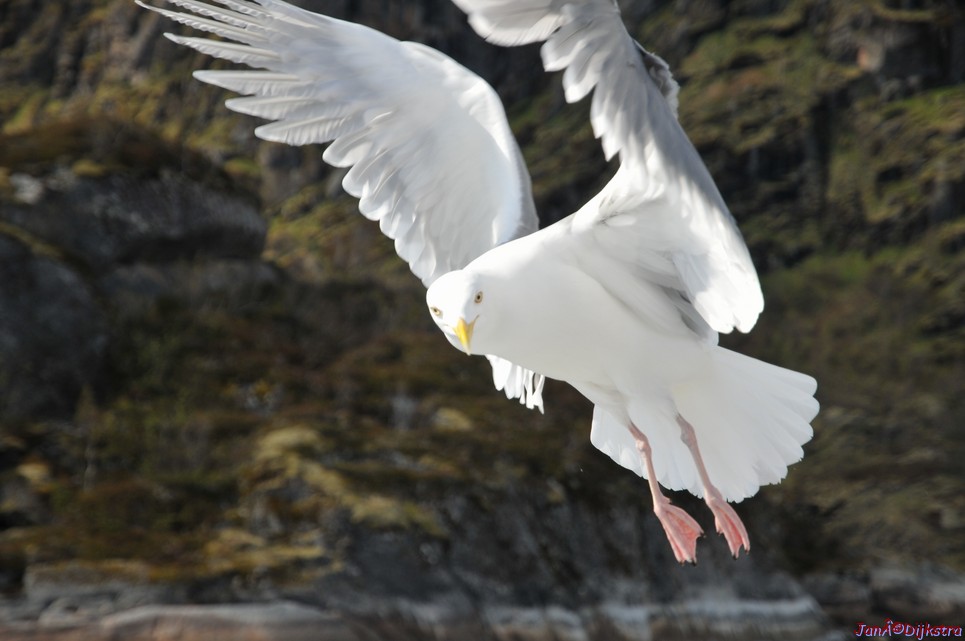 DSC_9052.JPG