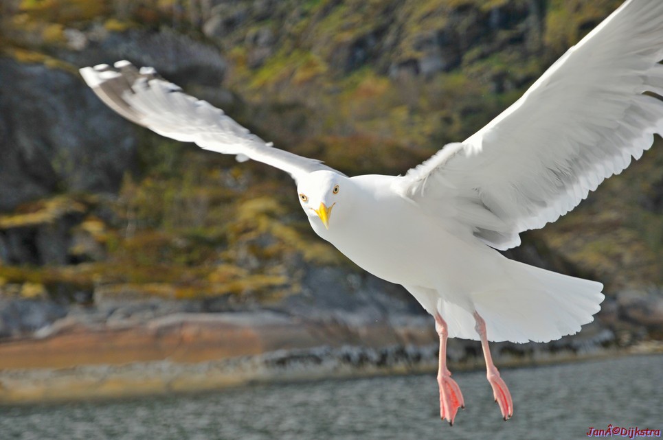 DSC_9054.JPG