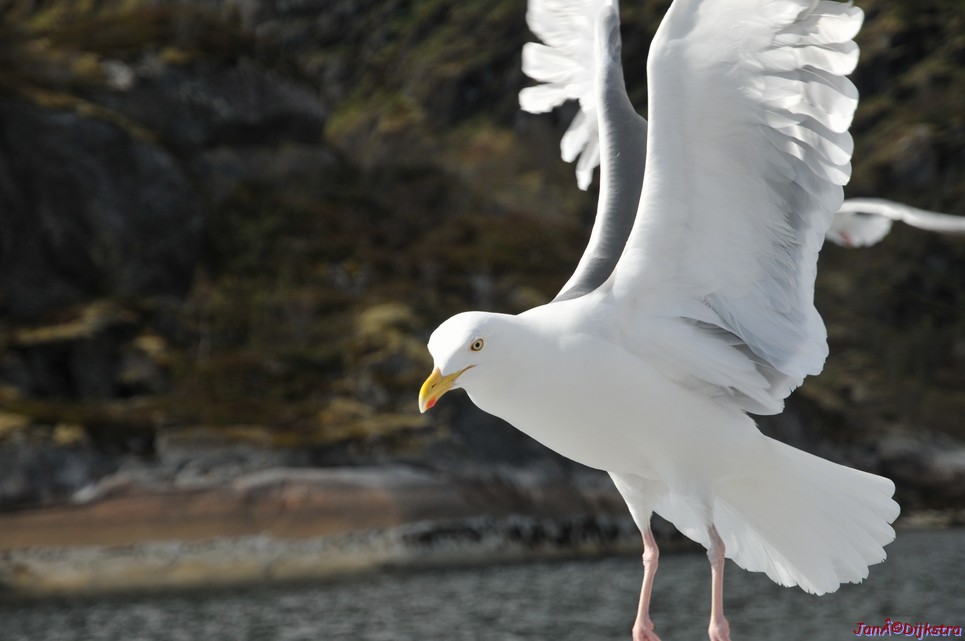 DSC_9055.JPG