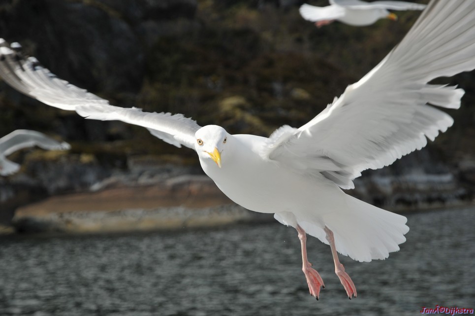 DSC_9056.JPG