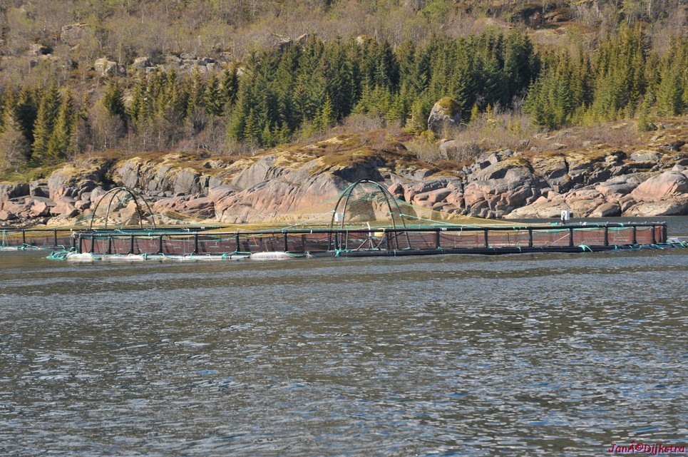 DSC_9057.JPG