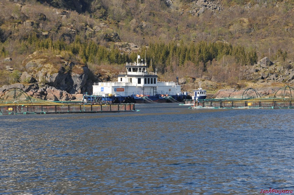 DSC_9059.JPG