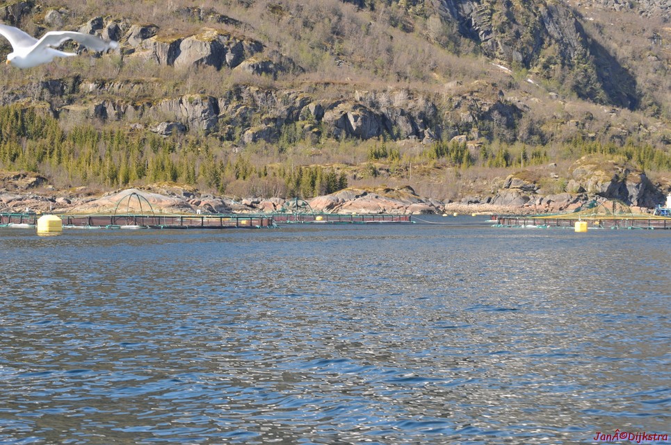 DSC_9060.JPG