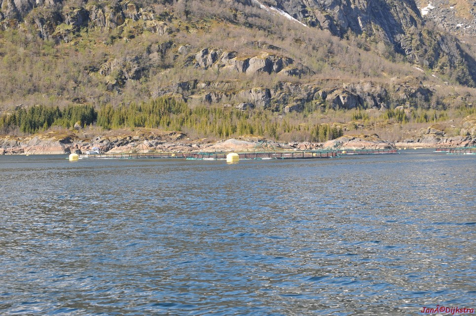 DSC_9061.JPG