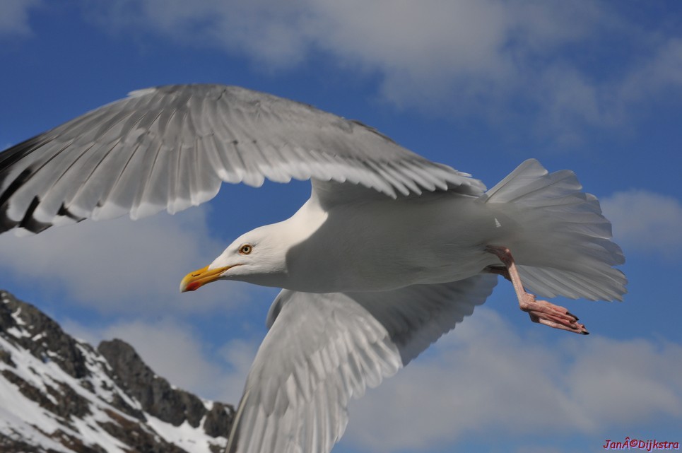 DSC_9066.JPG