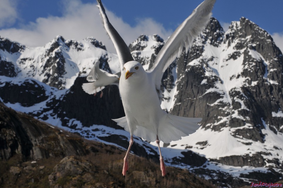 DSC_9069.JPG