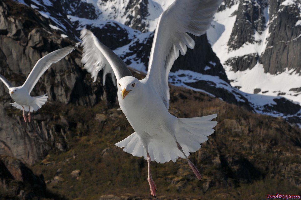 DSC_9070.JPG