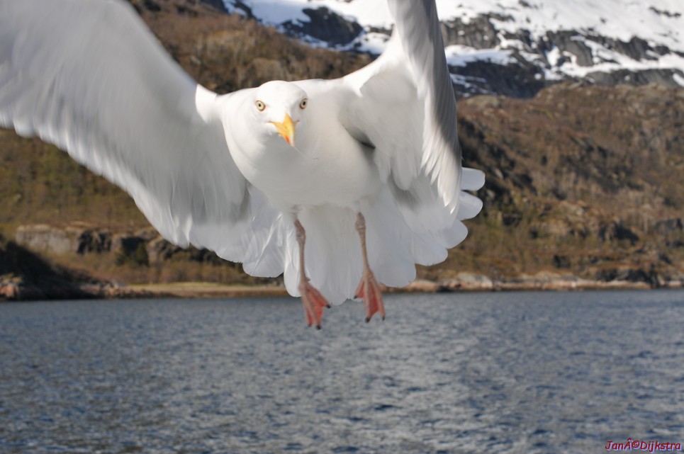 DSC_9072.JPG