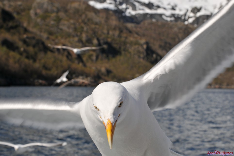 DSC_9073.JPG