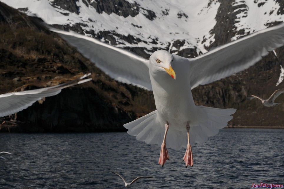 DSC_9074.JPG