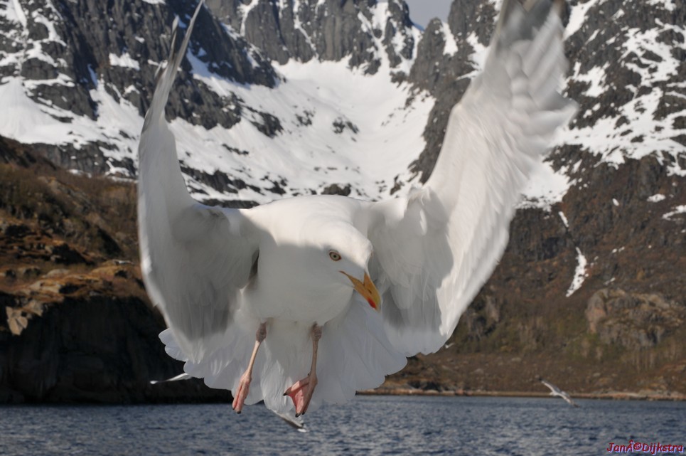 DSC_9075.JPG
