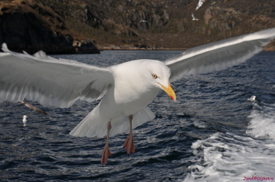 DSC_9076.JPG
